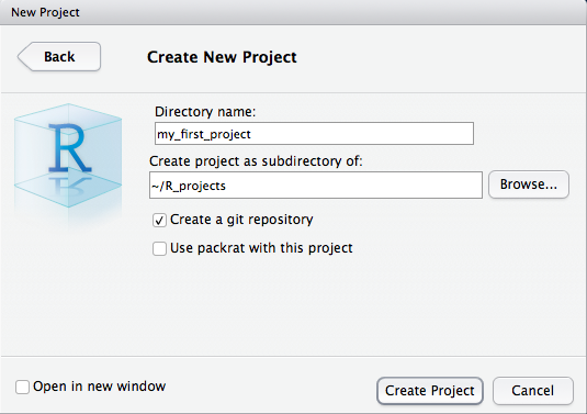 New project dialog box. Make sure you create a git repository (it will create a local repo).